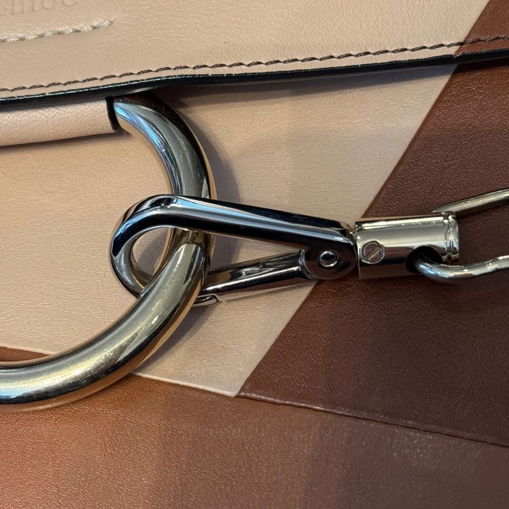 RARE Colorway Chloe Faye Patchwork Calfskin Bag - Picture 5 of 11